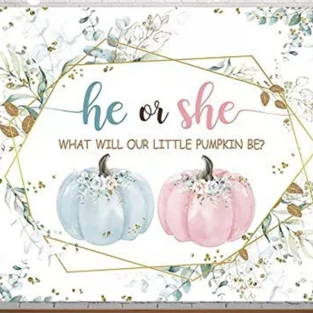 Little Pumpkin 5'×7' Fall Gender Reveal Backdrop
